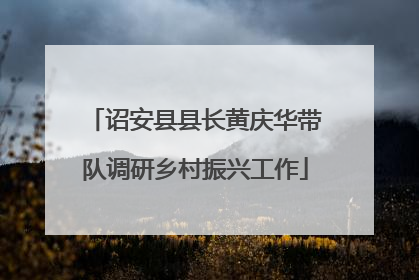 诏安县县长黄庆华带队调研乡村振兴工作