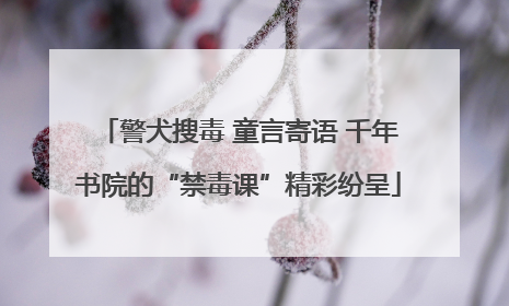警犬搜毒 童言寄语 千年书院的“禁毒课”精彩纷呈