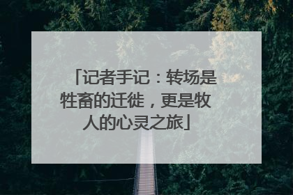 记者手记：转场是牲畜的迁徙，更是牧人的心灵之旅