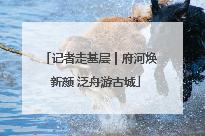 记者走基层｜府河焕新颜 泛舟游古城