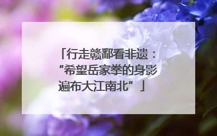 行走赣鄱看非遗：“希望岳家拳的身影遍布大江南北”