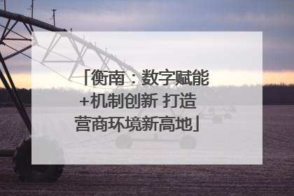 衡南：数字赋能+机制创新 打造营商环境新高地