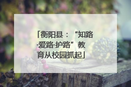 衡阳县：“知路·爱路·护路”教育从校园抓起