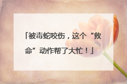被毒蛇咬伤，这个“救命”动作帮了大忙！
