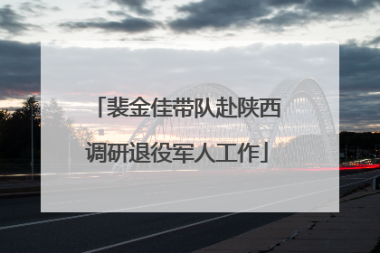 裴金佳带队赴陕西调研退役军人工作