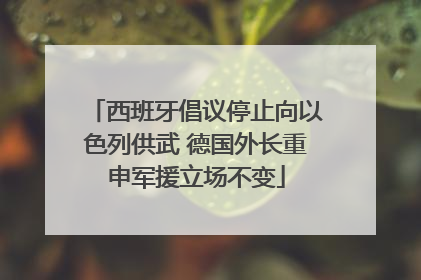 西班牙倡议停止向以色列供武 德国外长重申军援立场不变