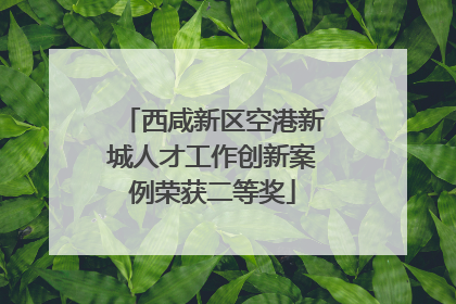 西咸新区空港新城人才工作创新案例荣获二等奖