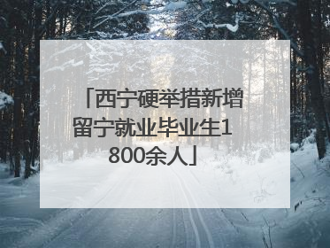 西宁硬举措新增留宁就业毕业生1800余人