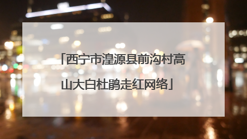 西宁市湟源县前沟村高山大白杜鹃走红网络