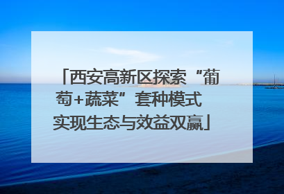 西安高新区探索“葡萄+蔬菜”套种模式 实现生态与效益双赢