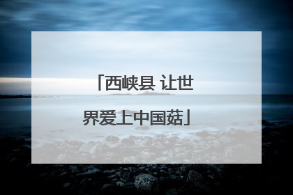 西峡县 让世界爱上中国菇