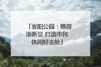 襄阳公园：植荷添新景 打造市民休闲好去处