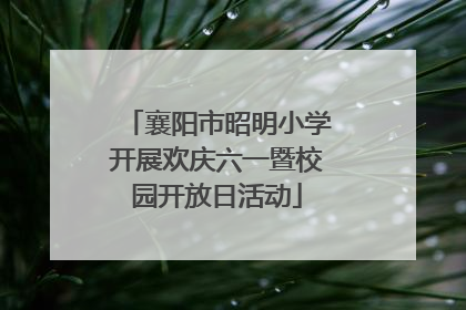 襄阳市昭明小学开展欢庆六一暨校园开放日活动