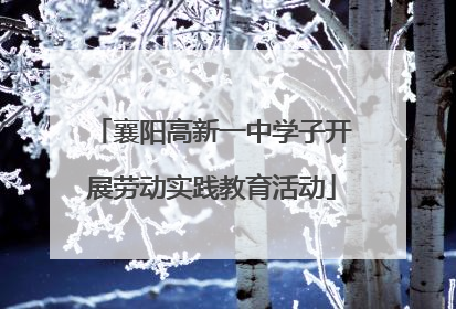 襄阳高新一中学子开展劳动实践教育活动