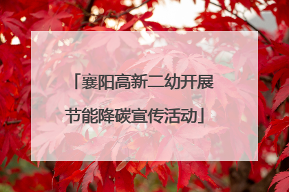 襄阳高新二幼开展节能降碳宣传活动