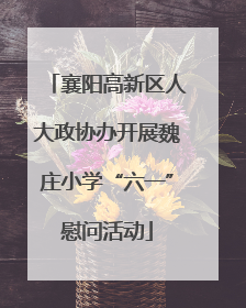 襄阳高新区人大政协办开展魏庄小学“六一”慰问活动