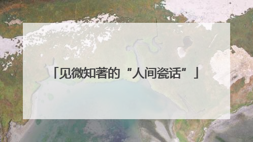 见微知著的“人间瓷话”