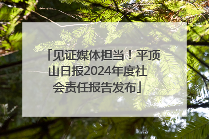 见证媒体担当！平顶山日报2024年度社会责任报告发布
