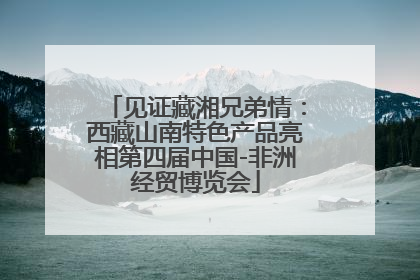 见证藏湘兄弟情：西藏山南特色产品亮相第四届中国-非洲经贸博览会