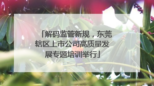 解码监管新规，东莞辖区上市公司高质量发展专题培训举行