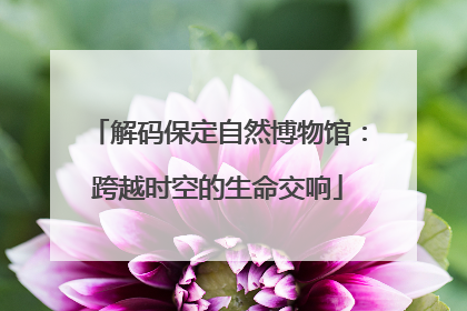 解码保定自然博物馆：跨越时空的生命交响