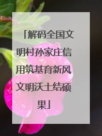 解码全国文明村孙家庄信用筑基育新风文明沃土结硕果