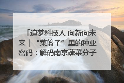 追梦科技人 向新向未来｜“菜篮子”里的种业密码：解码南京蔬菜分子育种的创新之路