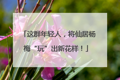 这群年轻人，将仙居杨梅“玩”出新花样！