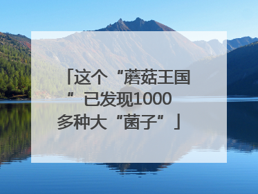这个“蘑菇王国”已发现1000多种大“菌子”