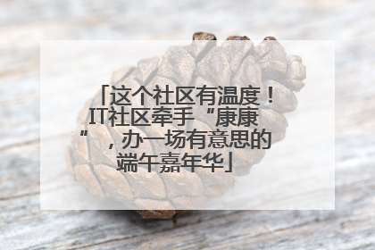 这个社区有温度！IT社区牵手“康康”，办一场有意思的端午嘉年华