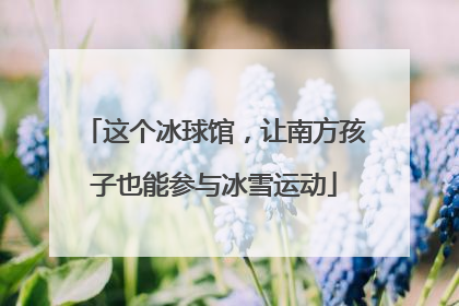 这个冰球馆，让南方孩子也能参与冰雪运动