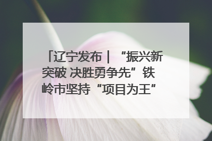辽宁发布｜“振兴新突破 决胜勇争先”铁岭市坚持“项目为王”推进经济高质量发展