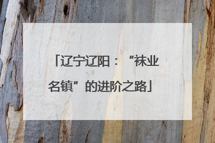 辽宁辽阳：“袜业名镇”的进阶之路