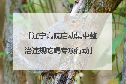 辽宁高院启动集中整治违规吃喝专项行动