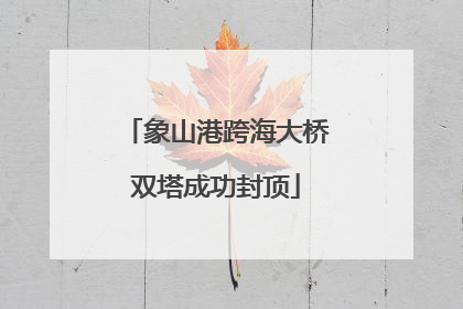 象山港跨海大桥双塔成功封顶