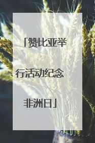 赞比亚举行活动纪念非洲日