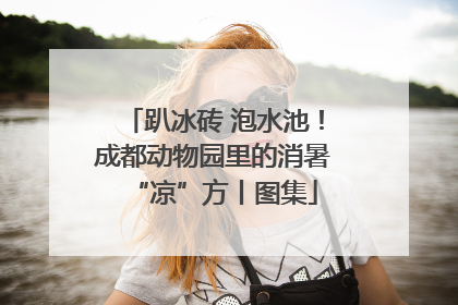 趴冰砖 泡水池！成都动物园里的消暑“凉”方丨图集