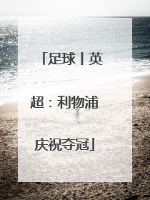 足球丨英超：利物浦庆祝夺冠