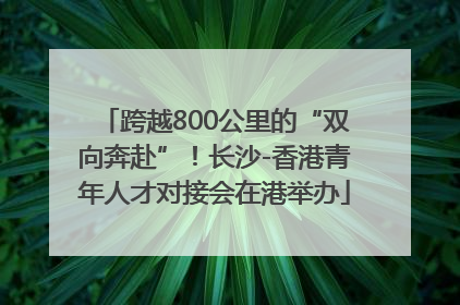 跨越800公里的“双向奔赴”！长沙-香港青年人才对接会在港举办