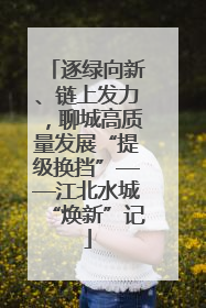 逐绿向新、链上发力，聊城高质量发展“提级换挡”——江北水城“焕新”记