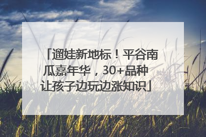 遛娃新地标！平谷南瓜嘉年华，30+品种让孩子边玩边涨知识