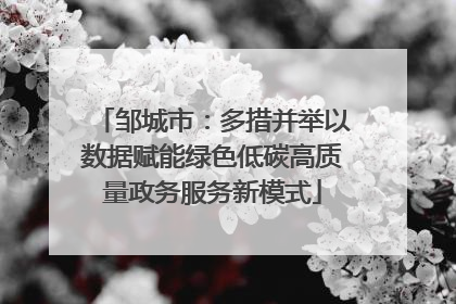 邹城市：多措并举以数据赋能绿色低碳高质量政务服务新模式