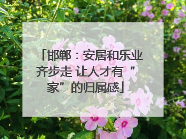 邯郸：安居和乐业齐步走 让人才有“家”的归属感