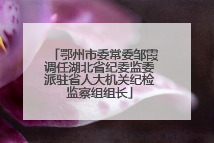 鄂州市委常委邹霞调任湖北省纪委监委派驻省人大机关纪检监察组组长