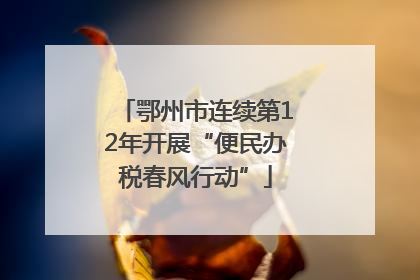 鄂州市连续第12年开展“便民办税春风行动”