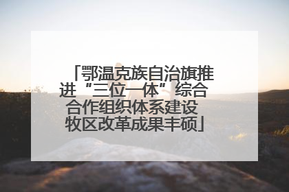 鄂温克族自治旗推进“三位一体”综合合作组织体系建设 牧区改革成果丰硕