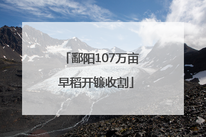 鄱阳107万亩早稻开镰收割