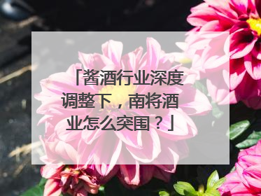 酱酒行业深度调整下，南将酒业怎么突围？