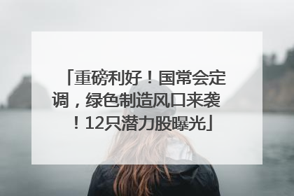 重磅利好！国常会定调，绿色制造风口来袭！12只潜力股曝光