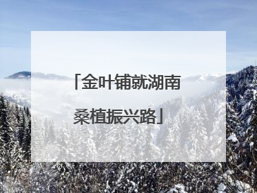 金叶铺就湖南桑植振兴路